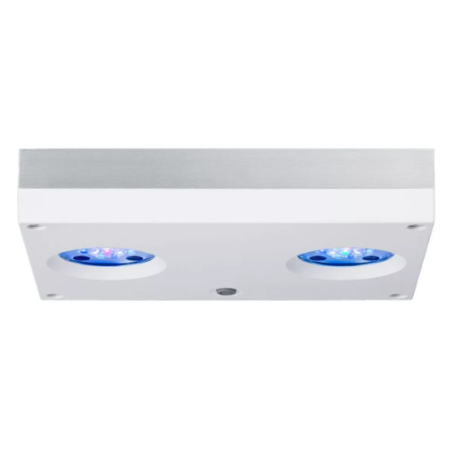圖片 Aqua Illumination Hydra 32 HD Sliver