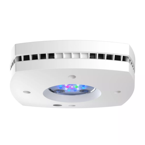 圖片 Aqua Illumination Prime 16HD Sliver