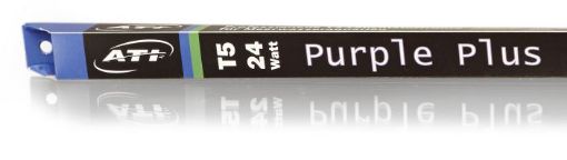 圖片 ATI Purple plus - 39W