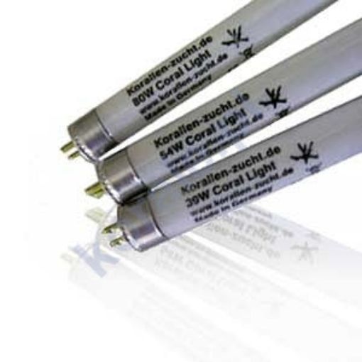 圖片 KZ Coral Light 10000 kelvin 39W